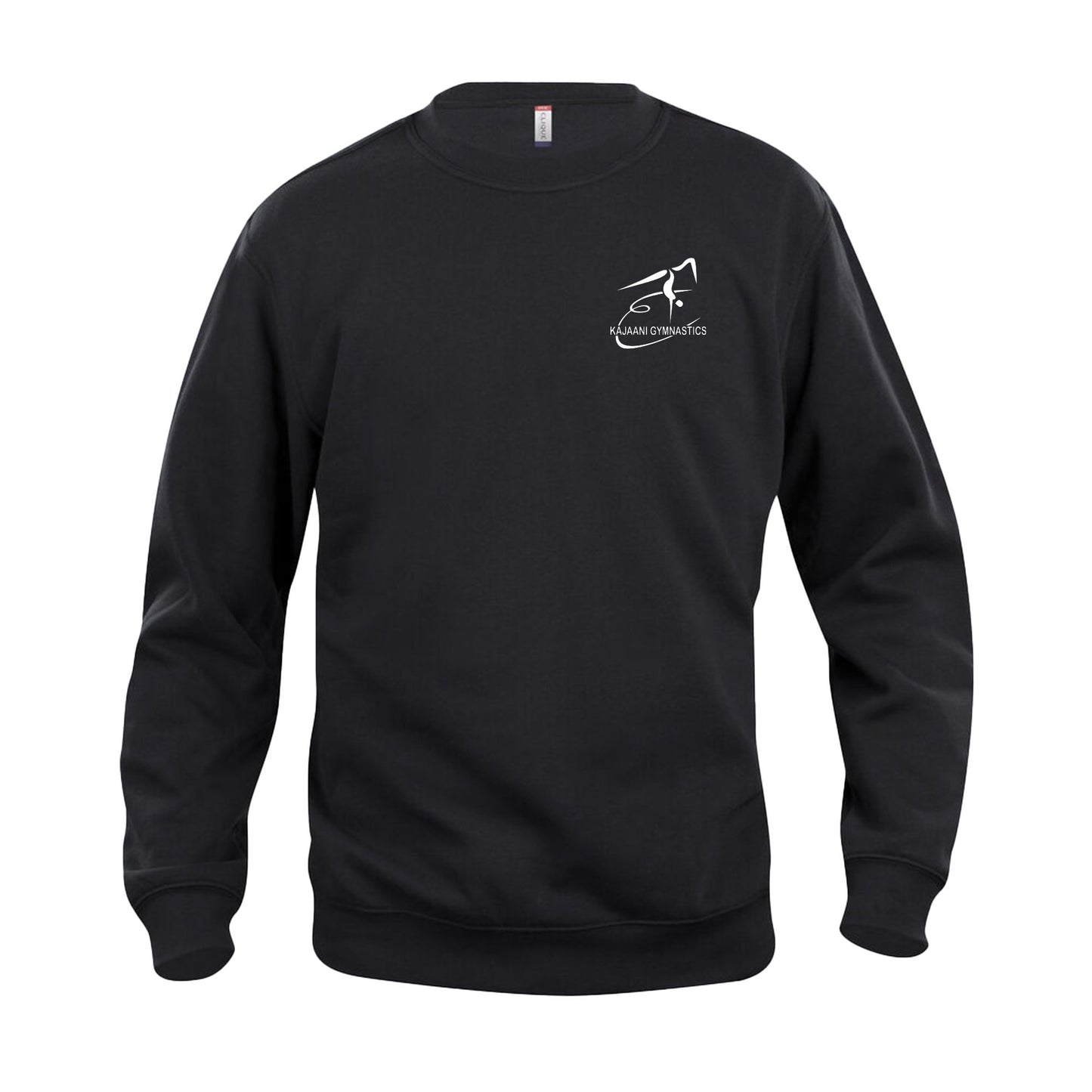 Unisex Basic Roundneck (SV)